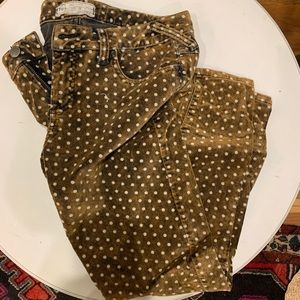 Brow Polka Dot Velvet Pants